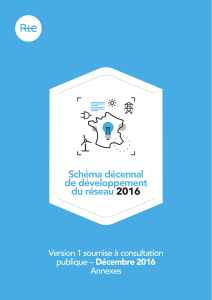 Schéma décennal - Edition 2016 – Annexes