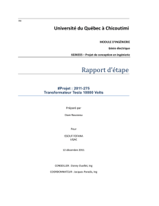 Rapport final
