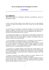 MNL-Le-cerveau - Revue Europ&eacute;enne de Psychologie et de Droit