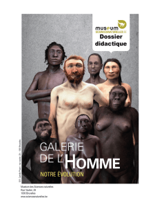 Galerie de l`Homme - Notre évolution