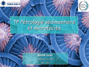 Cours TP pétrologie sédimentaire (introduction et grains carbonatés)