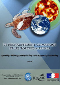 Le réchauffement climatique et les tortues marines