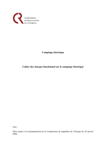 CRE - Février 2004 - Comptage électrique Cahier des charges