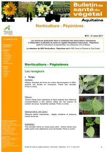 Horticulture - Pépinières - Chambre d`Agriculture Aquitaine