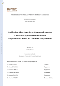 Modifications à long terme des systèmes noradrénergique et