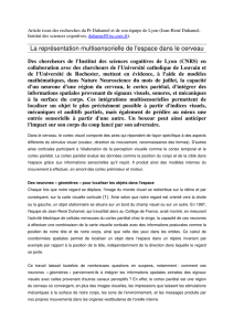 La repr&eacute;sentation multisensorielle de l`espace dans le cerveau