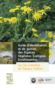 Guide d`identification et de gestion des Espèces Végétales