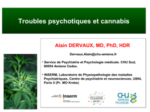 Troubles psychotiques et cannabis