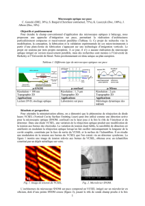 Microscopie optique sur puce C. Gorecki (DR2, 30%) - Femto-ST