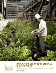 implanter un jardin en bacs sur les toits