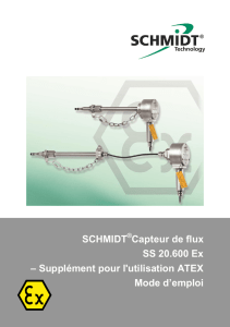 SS 20.600 ATEX fr - SCHMIDT Technology