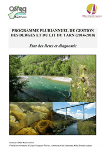 Diagnostic - Communauté de Communes Millau Grands Causses