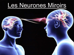Cours n°6. Les Neurones Miroirs