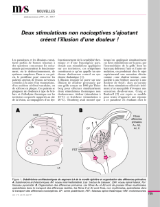 Deux stimulations non nociceptives s`ajoutant créent - iPubli