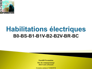 Habilitations électriques B0-BS-B1-B1V-B2-B2V-BR-BC