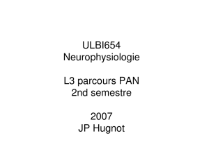 ULBI654 Neurophysiologie L3 parcours PAN 2nd semestre 2007 JP