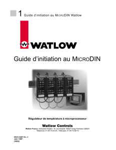 Guide d`initiation au MICRODIN