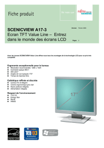 SCENICVIEW A17-3 Ecran TFT Value Line – Entrez dans le