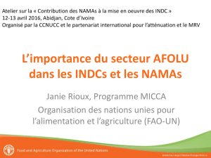 L`importance du secteur AFOLU dans les INDCs et les NAMAs