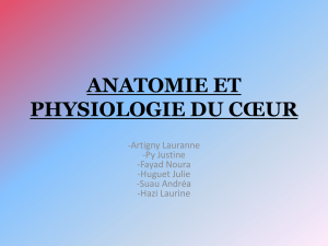 anatomie et physiologie du cœur - AP-HM