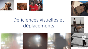 1_Deficiences_visuelles_et_deplacements