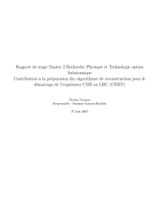 Rapport de stage Master 2 Recherche Physique et