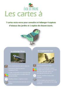 7 cartes recto-verso pour connaître et héberger 4 espèces d`oiseaux