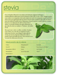 stevia - Qu`est-ce que la stévia