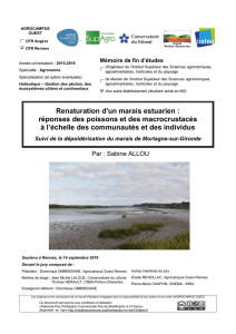 2016-Allou Sabine-Renaturation d`un marais estuarien