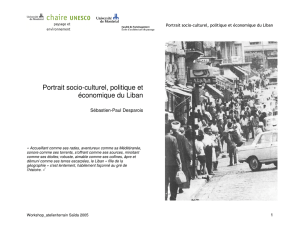 Portrait socio-culturel, politique et économique du Liban