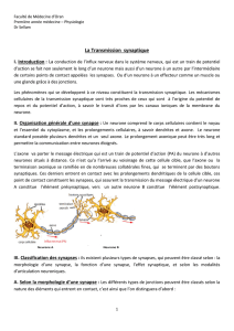 La Transmission synaptique - facmed-univ-oran