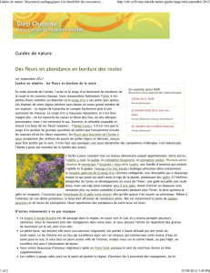 Guides de nature - Resources for Rethinking
