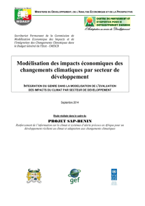 Modélisation des impacts économiques du climat par