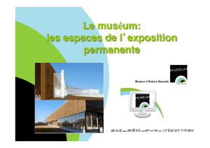 télécharger - site du Muséum de Toulouse pour les