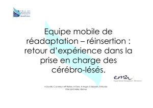 Equipe mobile de réadaptation – réinsertion : retour d`expérience