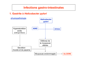 Infections gastro