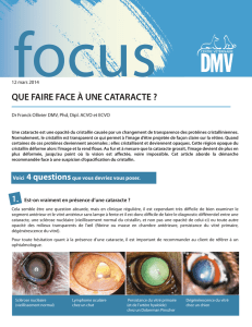 Focus DMV_12 mars 2014