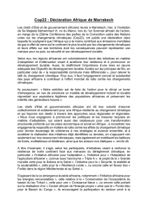 Cop22 : Déclaration Afrique de Marrakech