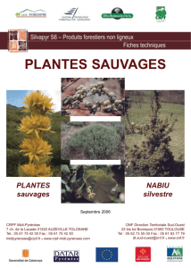 fiche plantes - Crpf midi pyrénées Pyr