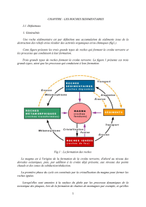 2010CHAPITRE LES ROCHES SEDIMENTAIRES