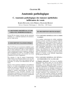 Télécharger le document au format PDF