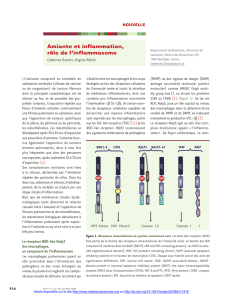 Amiante et inflammation, rôle de l`inflammasome - iPubli
