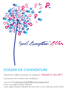 Dossier de candidature - Banque Populaire du Sud