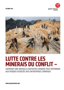 Lutte contre Les minerais du confLit