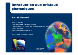 Introduction aux cristaux photoniques