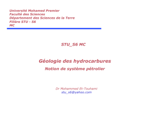 Géologie des hydrocarbures - stu-s6