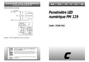 Panelmètre LED numérique PM 129