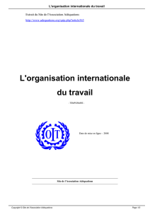 L`organisation internationale du travail
