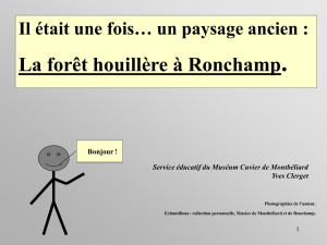 La forêt houillère à Ronchamp. Service éducatif du Muséum Cuvier