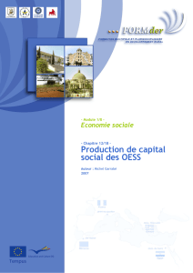 Production de capital social des OESS